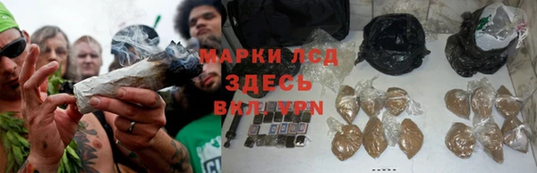 СК Балахна