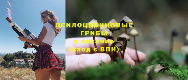 СК Балахна