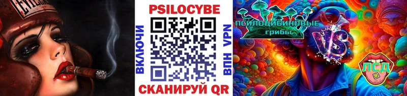 Галлюциногенные грибы ЛСД  Купить где  Купино 