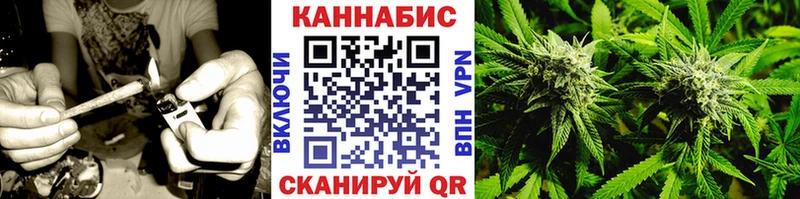 Шишки марихуана индика  Купить закладки  Купино 